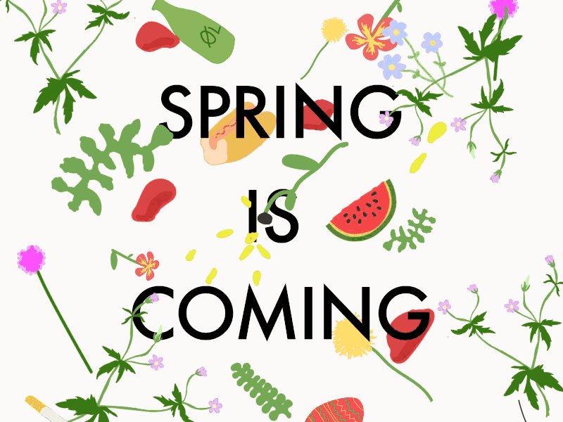 Spring Is Coming 2d animation cigarette flower flowers illustration spring