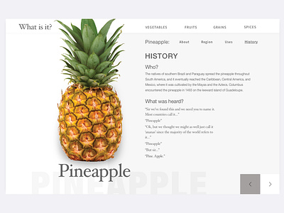 Pineapple Practice app fruit product product catalogue sketch ui uidesign webdesign