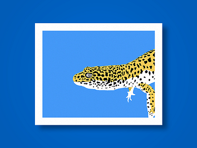 Toothless abstract gecko mock up poster print screen print