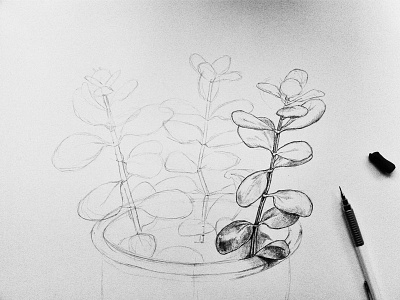 pencil drawing of a plant drawing paper pencil plant