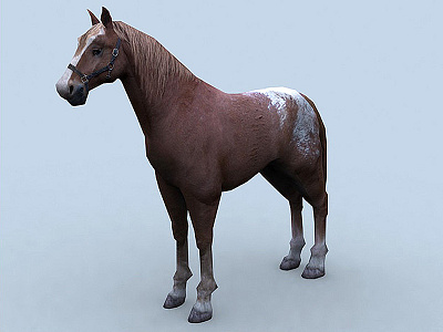 Horse 3d 3ds buildings character game horse hunter lowpoly max