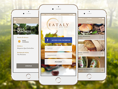 Picnic Deli - App concept app concept delivery eataly food picnic street tasty ui ux