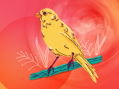 Canary