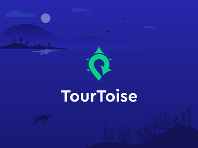 TourToise branding graphic design graphic mark icon logo logotype tourtoise vector