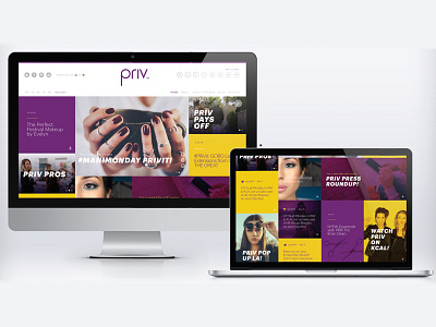 Priv Site ui ux website