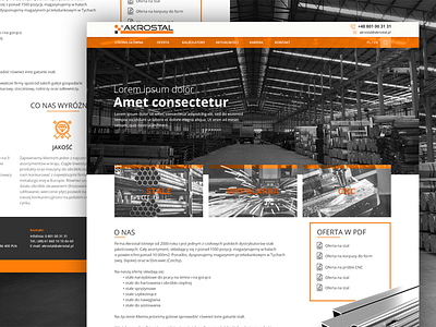 Design Concept Website For Steel Distributor