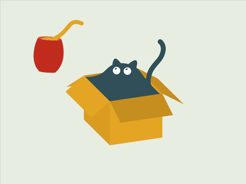 Purfect fit 2d animation cat cats illustration motion motion graphics