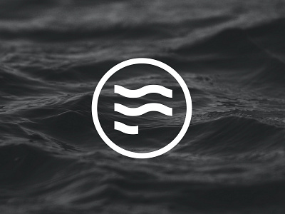 Flow Supplements logo unused