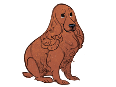 Spaniel Sitting character character design dog drawing illustration puppy spaniel