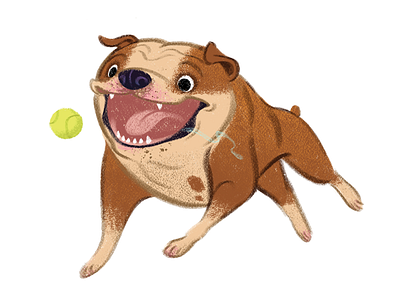Bulldog Jump bulldog character character design dog drawing illustration photoshop painting puppy texture