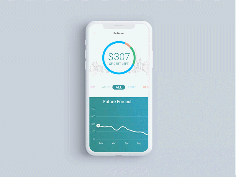 Debt Tracking animations chart debt interaction design ios line micro interactions motion pie tracker ui ux
