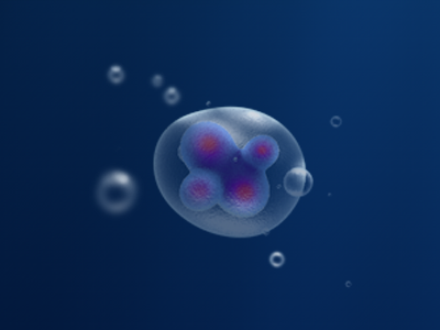 Zygote3d 3d biology bubble c4d cell cinema4d organism zygote