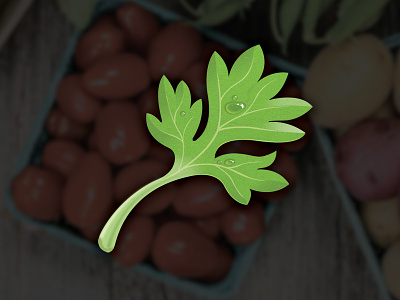 Parsley Icon icon parsley