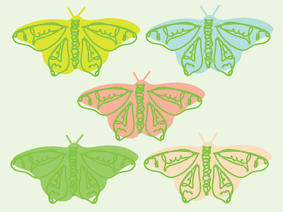Life Cycle butterflies butterfly caterpillar cocoon cycle cycle of life design drawing graphic design illo illustration illustrator life life cycle metamorphosis