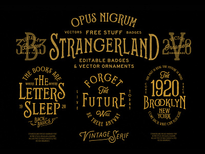Strangerland Font By Opus Nigrum2 denim font handmade label old retro serif strange strangerland tipography traditional vintage