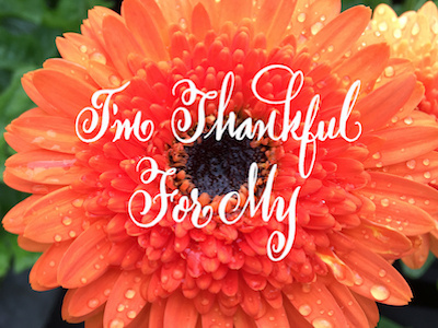 Di Piazza Thankful Flower calligraphy gratitude lettering