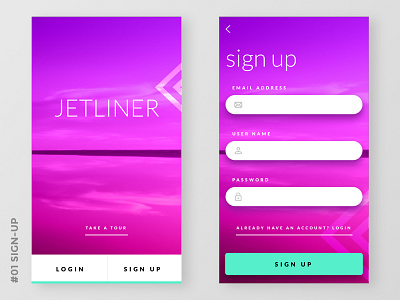 Daily UI #001 Sign up