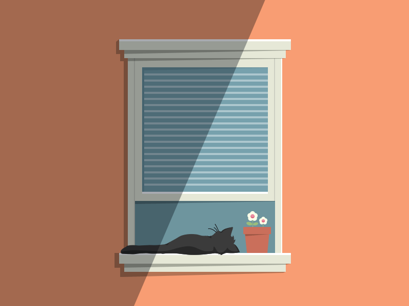Feeling Lazy cat flat flower gif illustration lazy shadow window