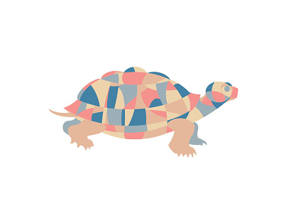 Geo Turtle