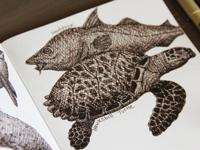 Sketchbook doodle draw fish haddock hawksbill turtle micron sepia sketchbook the sketchbook project turtle