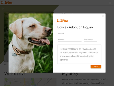 Paws Animal Shelter Web Design dailyui dialog dog feedback form popup website