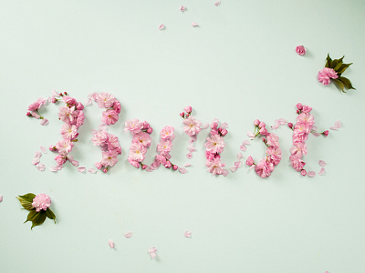 Burst Into Bloom Flower Type burst design dimensional type dimensional typography earth day flowers hand lettering lettering petals spring type typography