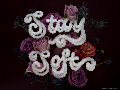 Stay Soft Dimensional Type dimensional type floral design flowers food lettering food type food typography hand lettering illustration illustrator lettering salt type typography