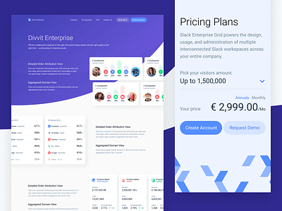 Divvit Enterprise Preview flat illustration landing landing page landing page design ui ux web webdesign webpage website