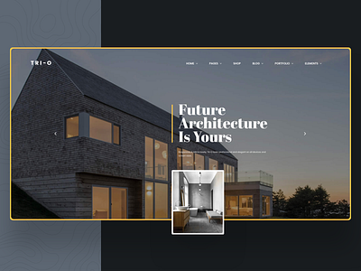 Tri-O | Creative Multipurpose Business WordPress Theme agency architecture business creative ecommerce graphic interior minimal modern multipurpose portfolio psd real estate ui ux webdesign wordpress