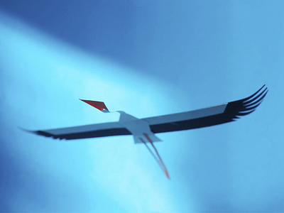 Stork maurice van der bij papercut photo