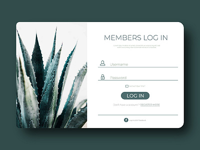 Daily UI - Day 001 001 flat log in sign up ui user interface ux