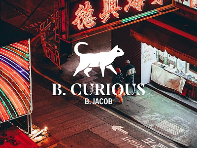 B.Curious branding cat design illustration typography