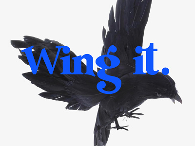 Wing it bird design lettering logo type typography wing