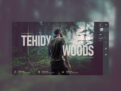 Cornwall Tehidy Woods design graphic design ui website design