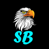 SB_Modifications