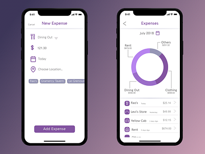 Finance App Concept app concept expenses finance