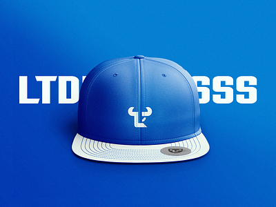 ltdesignsss | Visual Identity apparel identity logo logo design mockup personal branding sports sports branding sports identity sports logo sportsdesign visual identity