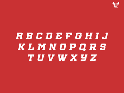 Winston Letters font fonts lettering letters slab athletic slab serif sports