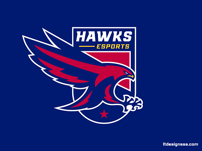 Hawks badge badge design badge logo bird eagle flat design hawk hawks illustration logo logo design logo type logodesign sports sports branding sports design sports identity sports logo
