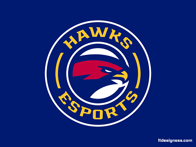 Hawks (2) badge birds brading eagles flat design hawks identity design illustration logo logotype mascot sports sports branding sports design sports identity sports logo