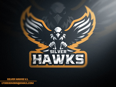 Silver Hawks V.1 by Lia Tanasa on Dribbble