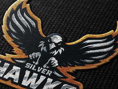 Hawks Apparel apparel bold brand esports forsale gamer games gaming hawks identity logo sports