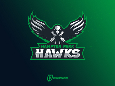 Hampton Park Hawks. brand branding esports hamptonpark hawks icon identity logo sports