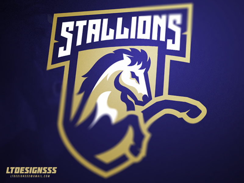 Stallions sportsbranding sportslogo identity branding brand designer design graphicdesign bold stallions stallion mascot logo sports esports