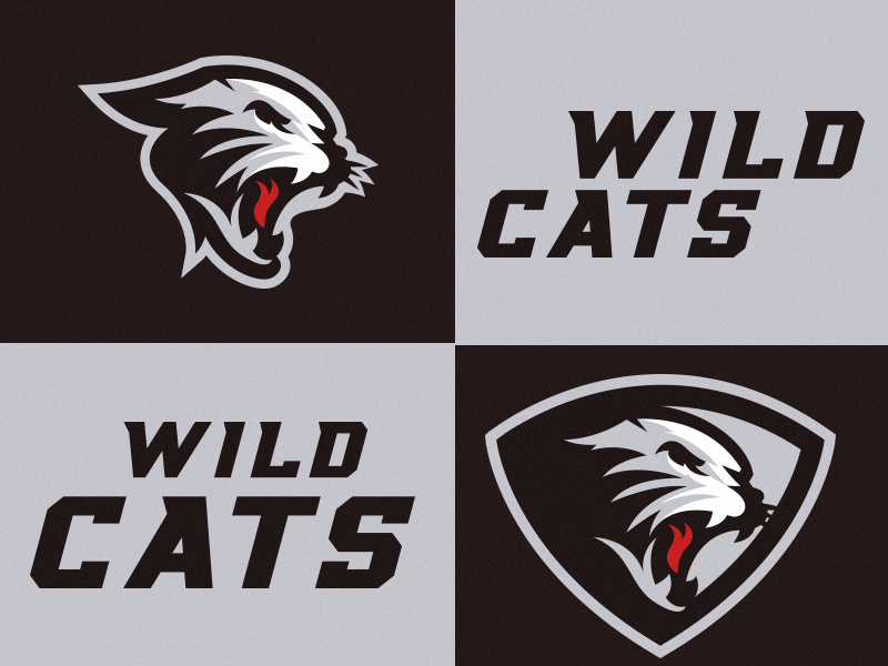 Cats mark typography typeface wildcats cats illustration designer design sportslogo identity bradn amscot logo sports