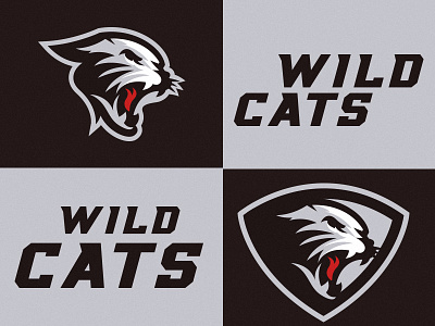 Cats amscot bradn cats design designer identity illustration logo mark sports sportslogo typeface typography wildcats
