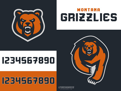 Grizzlies bears branding deintity grizzlies grizzly illustration logo marks mascot sport sports type typedeisgn typeface typography