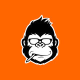 Goreela Studio