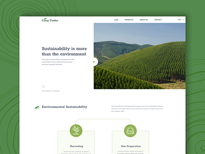 Cintac environment forest infographic landing sustainable video video hero