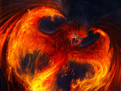 Phoenix art bird cardart fantasy fire harrypotter illustrator phoenix